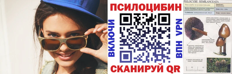 Галлюциногенные грибы Cubensis  купить наркотики цена  Лесозаводск 
